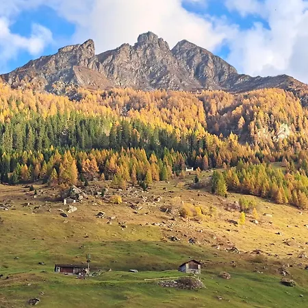 Logementvals * 발스